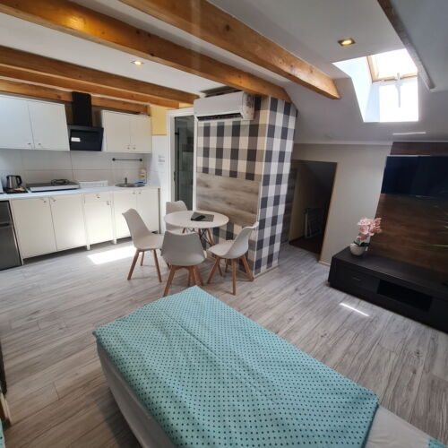 Apartament cu aer condiționat cu chicinetă proprie cu 2 camere pentru 4 pers.