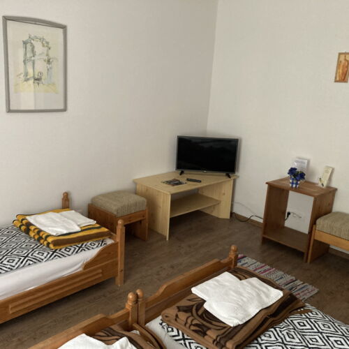 Gold 1-Room Apartment for 3 Persons ensuite