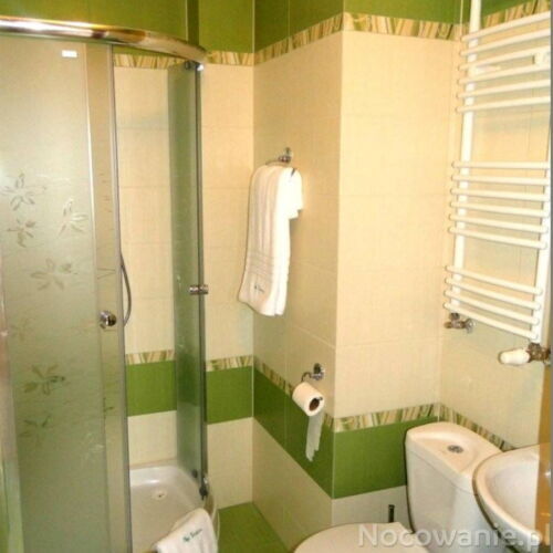 Pokój 1-osobowy z prysznicem z dostępem do ogrodu