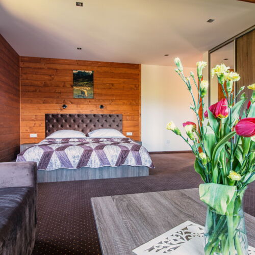 Apartament familial(ă) cu vedere spre munte cu 2 camere pentru 7 pers.