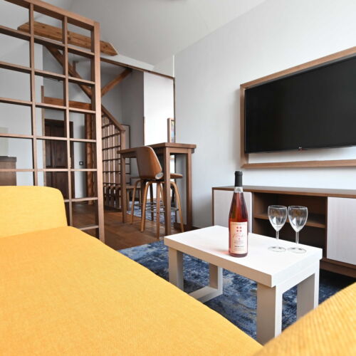 1-Room Apartment for 2 Persons with Shower and Kitchenette (extra bed available)