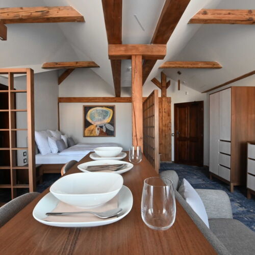 1-Room Apartment for 2 Persons with Shower and Kitchenette (extra bed available)