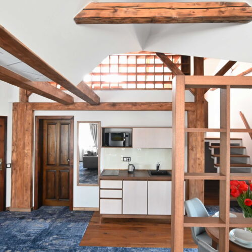 1-Room Apartment for 2 Persons with Shower and Kitchenette (extra bed available)