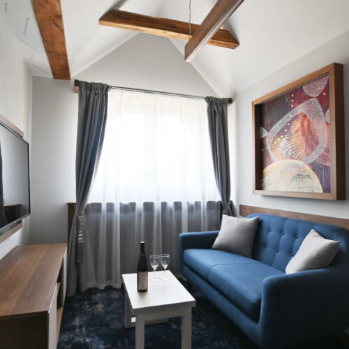 1-Room Apartment for 2 Persons with Shower and Kitchenette