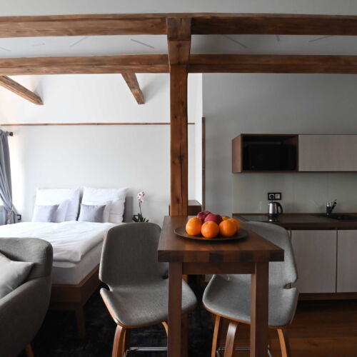 1-Room Apartment for 2 Persons with Shower and Kitchenette (extra bed available)