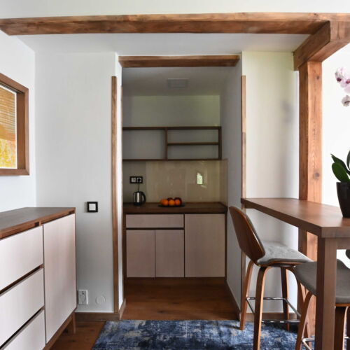1-Room Apartment for 2 Persons with Shower and Kitchenette