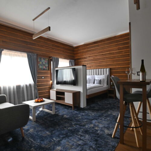 1-Room Apartment for 2 Persons with Shower and Kitchenette (extra bed available)
