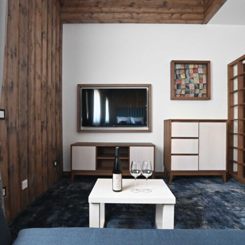 1-Room Apartment for 2 Persons with Shower and Kitchenette (extra bed available)