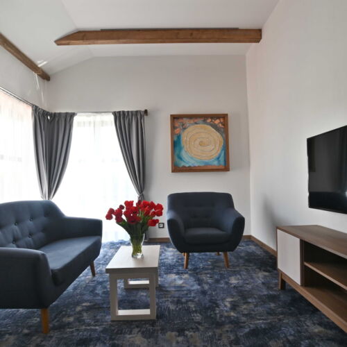 1-Room Apartment for 2 Persons with Shower and Kitchen (extra bed available)