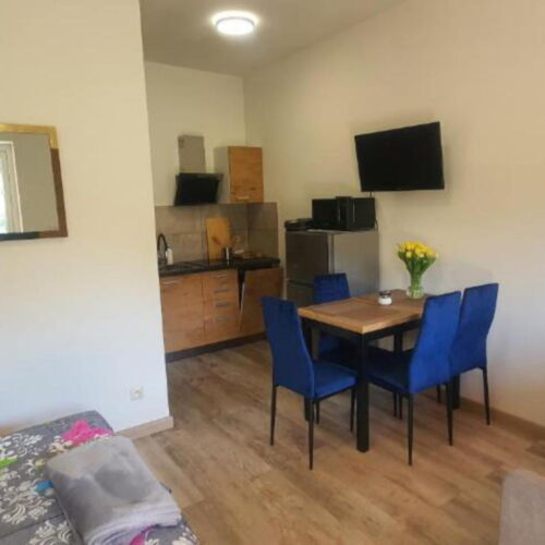 Apartament 3-osobowy na parterze z tarasem z 1 pomieszczeniem sypialnianym