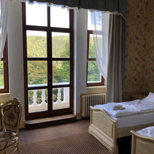 Standard Pokoj s balkónem pro 2 os.