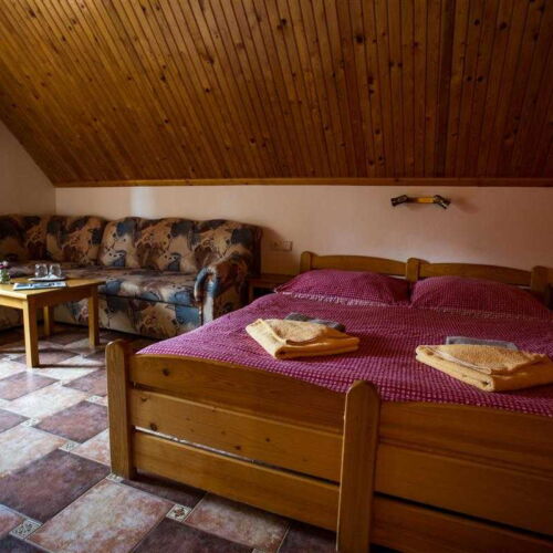 Camera cvadrupla cu duș (se poate solicita pat suplimentar)