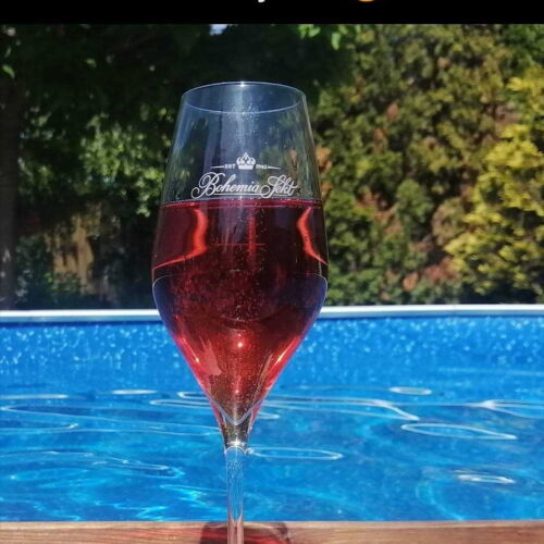 Rekreační dům (jako celek) s vlastní kuchyňkou s terasou pro 8 os. (s možností přistýlky)