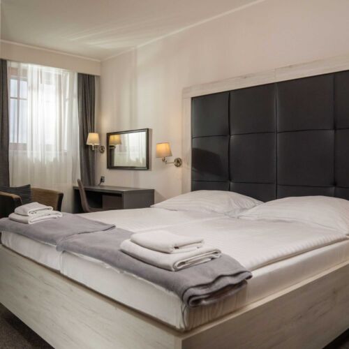 Camera twin deluxe cu duș