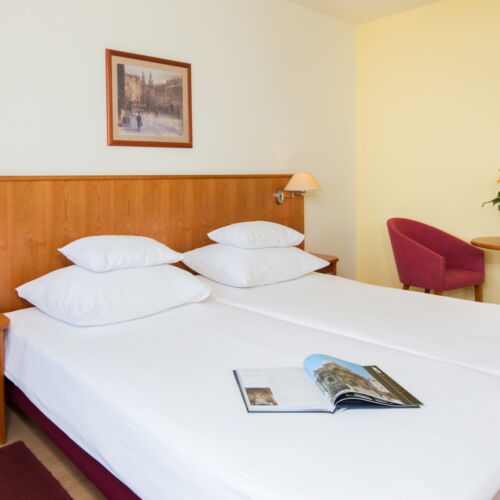 Comfort Balcony Twin Room