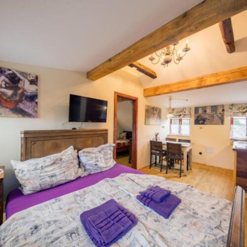 1-Room Apartment for 4 Persons with Shower and Kitchenette