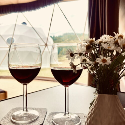 Apartament întreaga unitate cu vedere spre pădure pentru 2 pers. (se inchirieaza doar integral)