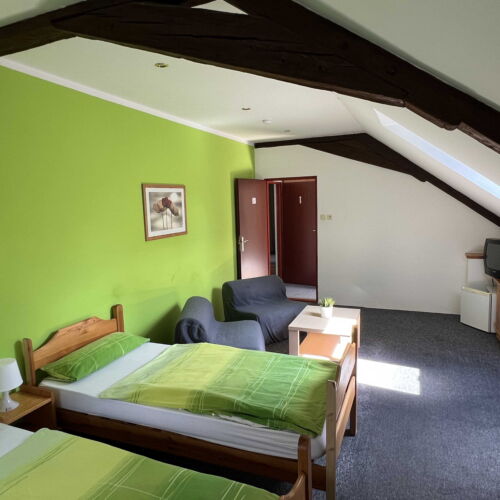 Camera twin cu duș (se poate solicita pat suplimentar)