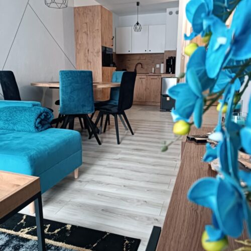 Ground Floor 2-Room Apartment for 5 Persons with Kitchenette