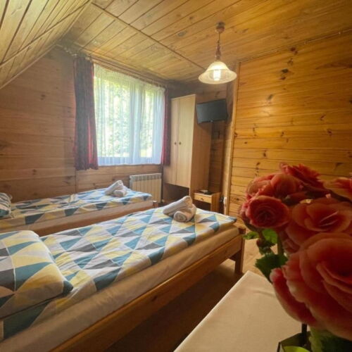 Garden View Twin Room