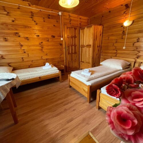 Mountain View Triple Room
