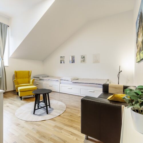 Apartament cu duș cu vedere spre pădure cu 2 camere pentru 4 pers. (se poate solicita pat suplimentar)