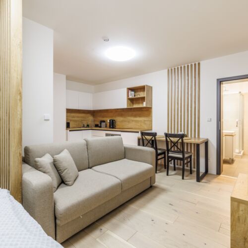 Apartament cu baie cu duș cu 1 camera pentru 3 pers.