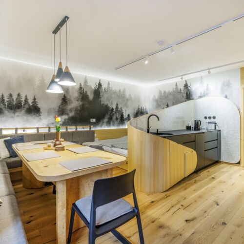 Apartament cu duș cu bucătărie proprie cu 2 camere pentru 4 pers.