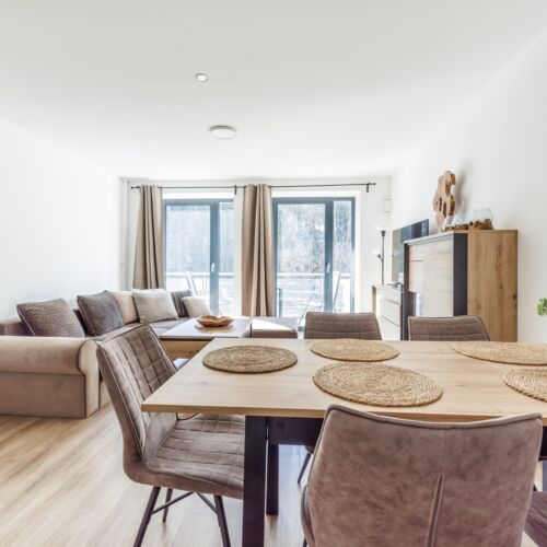 Apartament cu balcon cu duș cu 1 camera pentru 4 pers. (se poate solicita pat suplimentar)