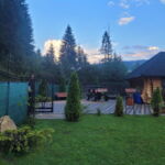 Forest View Chalet for 10 Persons