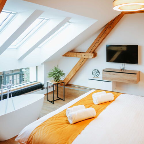 Air Conditioned Twin Room with Shower