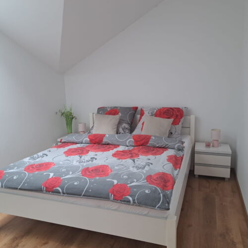 Apartament junior cu 2 camere pentru 4 pers.