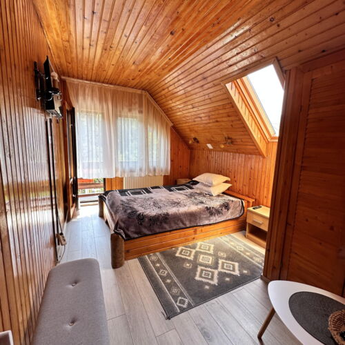 Camera dubla cu panoramă