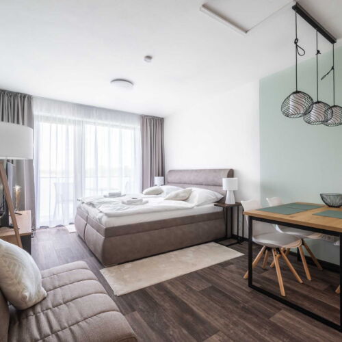 Apartament cu 1 camera pentru 2 pers. (se poate solicita pat suplimentar)