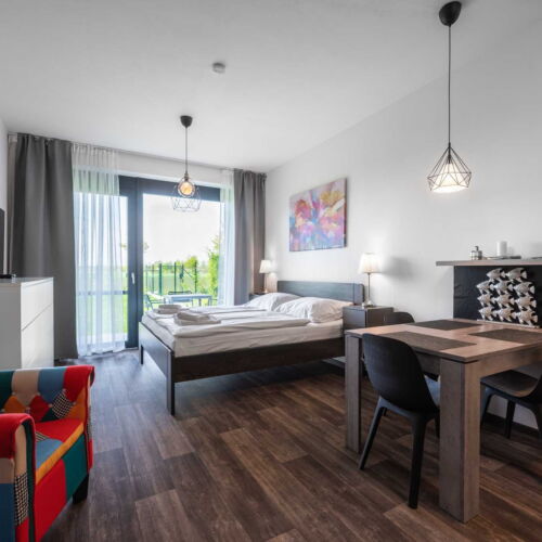 Apartament cu 1 camera pentru 2 pers. (se poate solicita pat suplimentar)