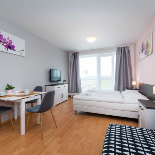 Apartament cu 1 camera pentru 2 pers. (se poate solicita pat suplimentar)