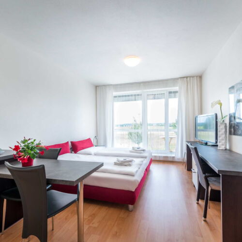 Apartament cu 1 camera pentru 2 pers.