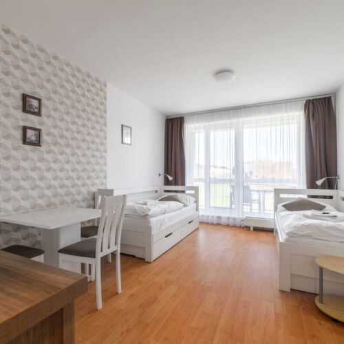 Apartament cu 1 camera pentru 2 pers. (se poate solicita pat suplimentar)