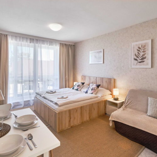 Apartament barrierfree cu 1 camera pentru 2 pers. (se poate solicita pat suplimentar)