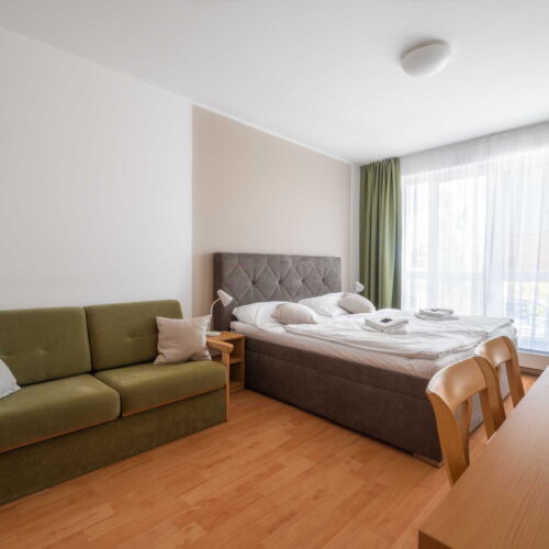 Apartament barrierfree cu 1 camera pentru 2 pers. (se poate solicita pat suplimentar)