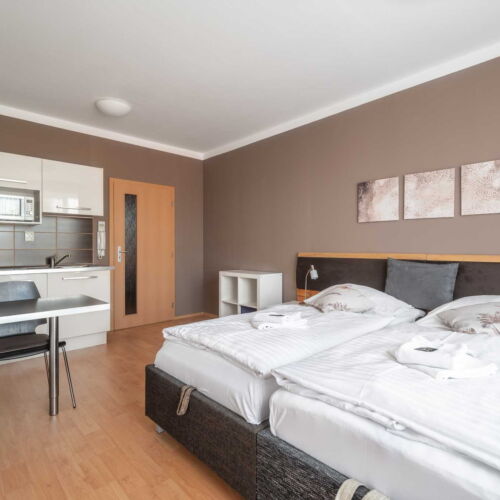 Apartament cu duș cu bucătărie proprie pentru 2 pers.