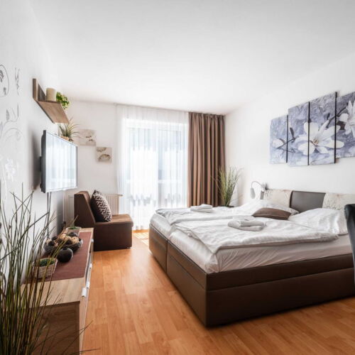 Apartament barrierfree cu 1 camera pentru 2 pers. (se poate solicita pat suplimentar)