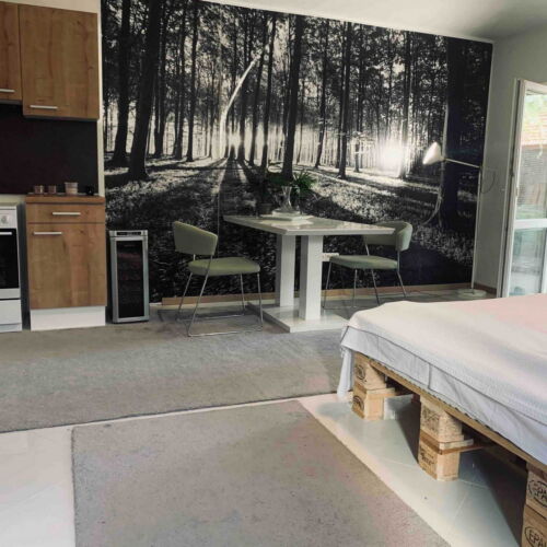 Apartament studio cu duș pentru 2 pers.