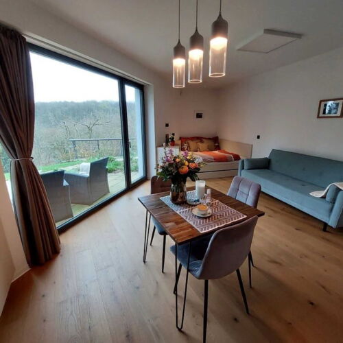 Studio Apartman se sprchou pro 2 os. (s možností přistýlky)