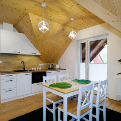 Apartament cu 1 camera pentru 3 pers.