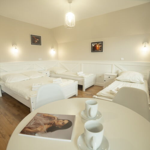 Camera cvadrupla la etaj cu vedere spre munte