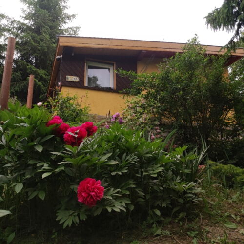 Tourist Forest View Apartment for 2 Persons
