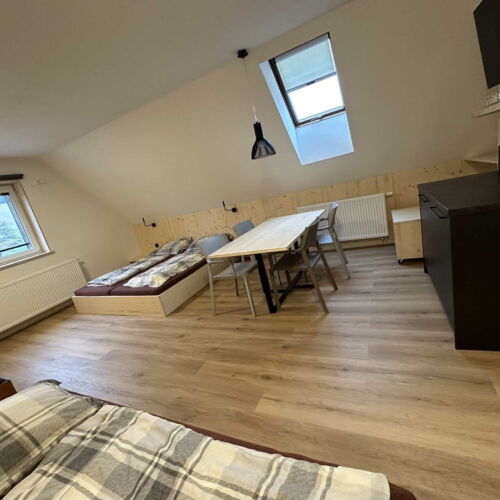 Pokój 4-osobowy Deluxe z prysznicem (możliwa dostawka)