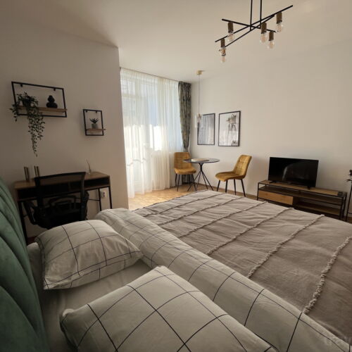 1-Room Apartment for 2 Persons