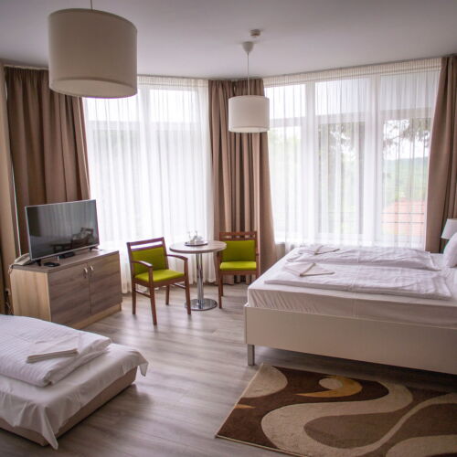 Exclusive Double Room (extra bed available)
